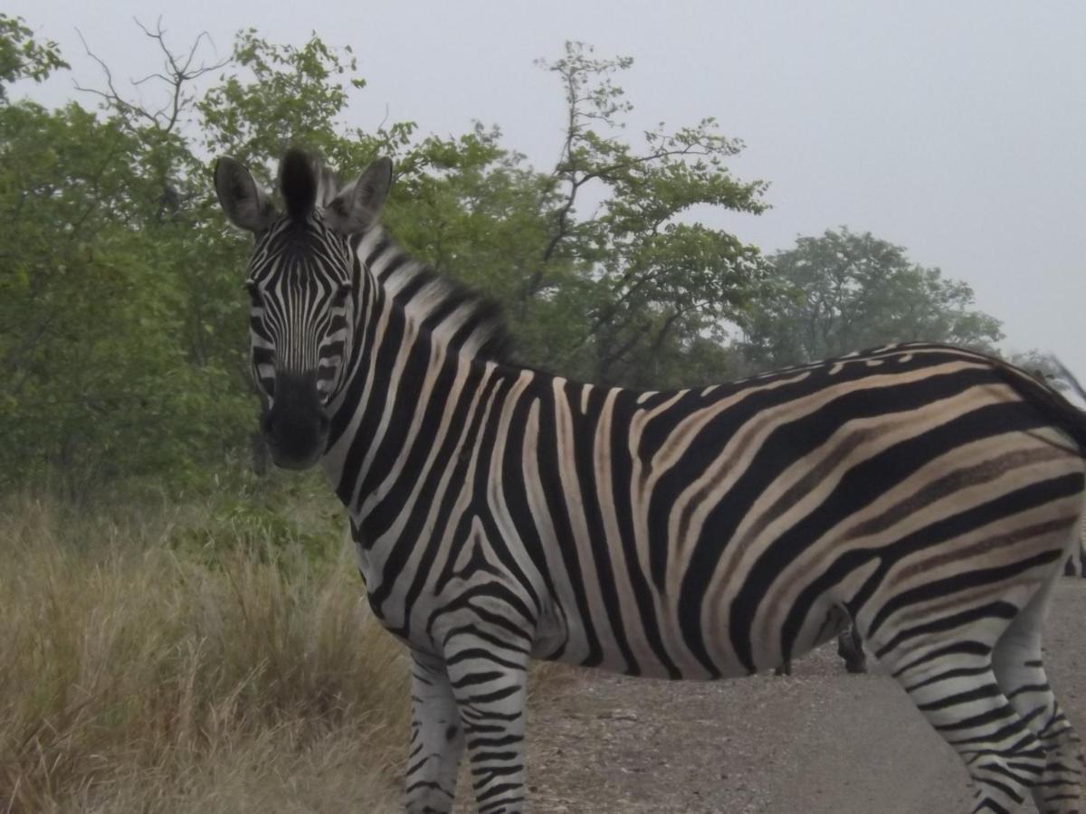 Mountain View Safari Lodge Hoedspruit Esterno foto